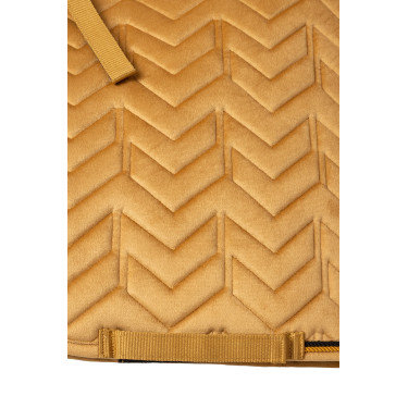 Manta de adiestramiento Horze Delémont Marrón dorado