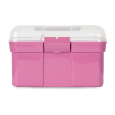 Caja y cepillos de limpieza Horze para niños Violeta rojo Burdeos