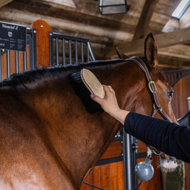 Cepillo clásico de madera largo y suave Grooming Deluxe Negro Cepillo clásico de madera largo y suave Grooming Deluxe Negro