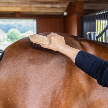 Cepillo duro Wooden classic medium Grooming Deluxe Castaño Marr&amp;oacute;n