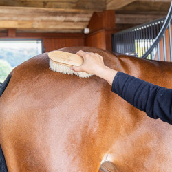 Cepillo duro Wooden classic medium Grooming Deluxe Natural Marr&amp;amp;amp;oacute;n