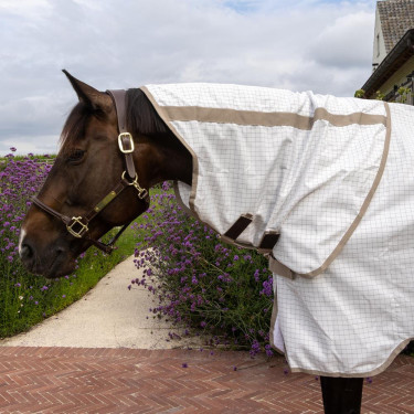 Manta antialérgica y de verano Comfort Kentucky Blanco Manta antialérgica y de verano Comfort Kentucky Blanco