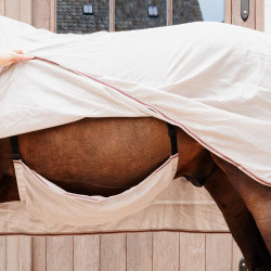 Manta antimoscas Comfort Classic con cubrecuellos y panza Kentucky Beige / burdeos Manta antimoscas Comfort Classic con cubrecuellos y panza Kentucky Beige / burdeos