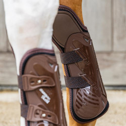 Guarniciones delanteras con protección del carpo elástica Kentucky Castaño Marrón