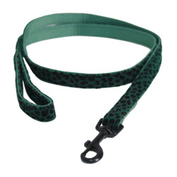 Correa para perro Leopardo Kentucky Verde abeto