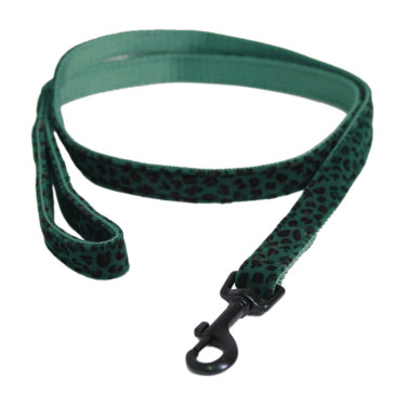 Correa para perro Leopardo Kentucky Verde abeto