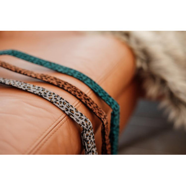 Correa para perro Leopardo Kentucky Verde abeto