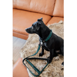 Correa para perro Leopardo Kentucky Verde abeto