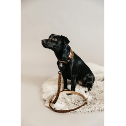 Correa para perro Leopardo Kentucky Marrón leopardo