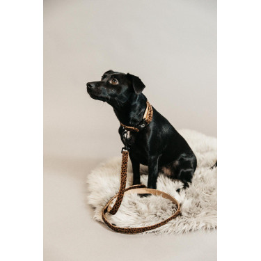Correa para perro Leopardo Kentucky Marrón leopardo