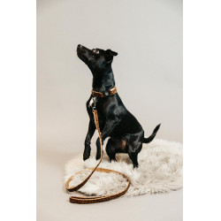 Correa para perro Leopardo Kentucky Marrón leopardo
