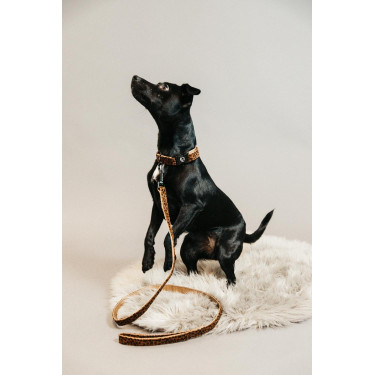 Correa para perro Leopardo Kentucky Marrón leopardo