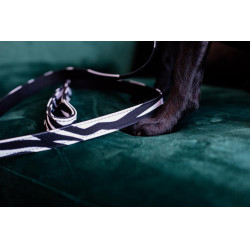 Correa para perro Zebra Kentucky Cebra Motifs