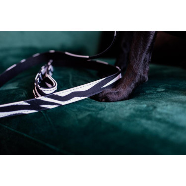 Correa para perro Zebra Kentucky Cebra Motifs