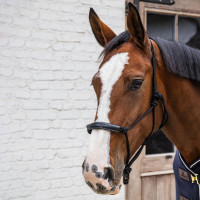 Cabezada de cuerda Kentucky Negro