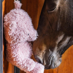 Juguete relajante de peluche para caballo Kentucky Rosa viejo