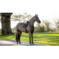 Alfombra de Hunter LeMieux Merino+ Marrón / marrón
