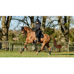 Mantilla LeMieux ProSport doma SQ Plain Standard Strap Mantilla LeMieux ProSport doma SQ Plain Standard Strap