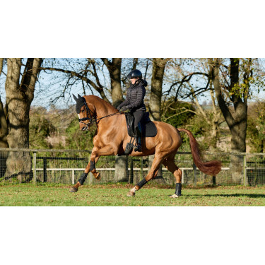 Mantilla LeMieux ProSport doma SQ Plain Standard Strap Mantilla LeMieux ProSport doma SQ Plain Standard Strap