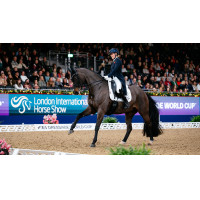 Mantilla LeMieux ProSport doma SQ Plain Standard Strap Blanco