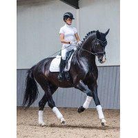 Mantilla LeMieux ProSport doma SQ Plain Standard Strap Blanco modelo antiguo