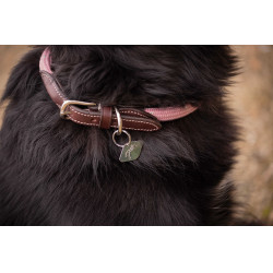 Collar para perro Penelope Billie Rosa / lurex