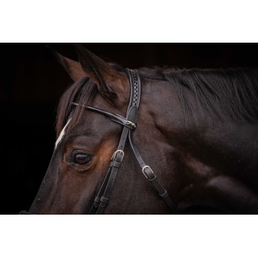 Cabezada PENELOPE - Symphonie SR - Negro