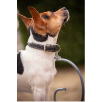 Collar para perro Pénélope Olie Negro