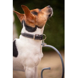 Collar para perro Pénélope Olie Havana Marr&amp;amp;amp;oacute;n