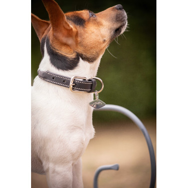 Collar para perro Pénélope Olie Havana Marr&amp;amp;amp;oacute;n