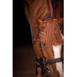 Cabezada de montar PENELOPE - Daily Strass Havana Marrón Cabezada de montar PENELOPE - Daily Strass Havana Marrón