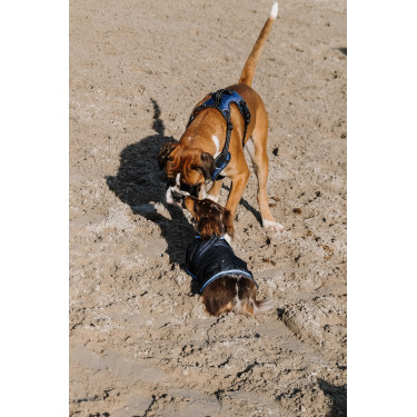 Arnés para perros RIDING WORLD - Simba Marino Azul marino