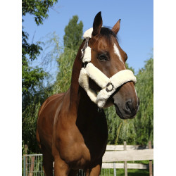 Cabezada Equi-Theme Teddy Cabezada Equi-Theme Teddy