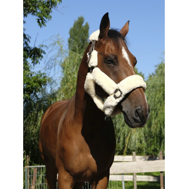 Cabezada Equi-Theme Teddy Cabezada Equi-Theme Teddy
