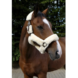 Cabezada Equi-Theme Teddy Cabezada Equi-Theme Teddy