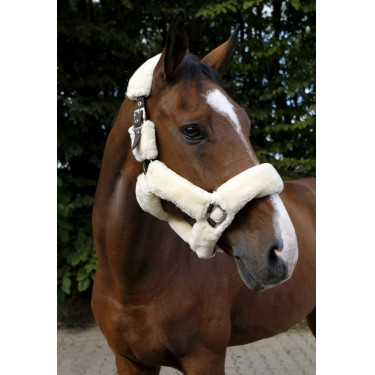 Cabezada Equi-Theme Teddy Cabezada Equi-Theme Teddy