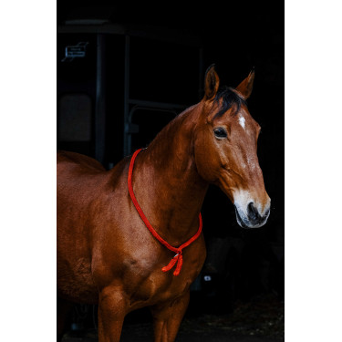 Collar Etológico NORTON Roja Rojo