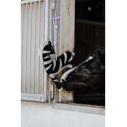 Juguete para Caballos HIPPOTONIC Zanahoria