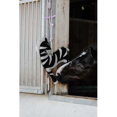 Juguete para Caballos HIPPOTONIC Zanahoria