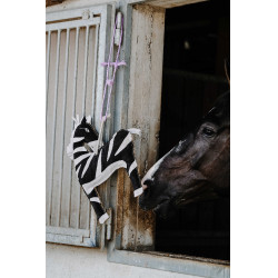 Juguete para Caballos HIPPOTONIC Zanahoria