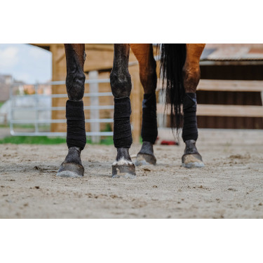 Ventas de polo EQUITHÈME Negro Ventas de polo EQUITHÈME Negro