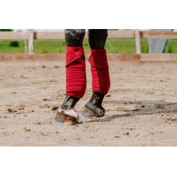 Ventas de polo EQUITHÈME Roja Rojo