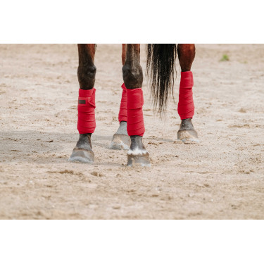 Ventas de polo EQUITHÈME Roja Rojo Ventas de polo EQUITHÈME Roja Rojo