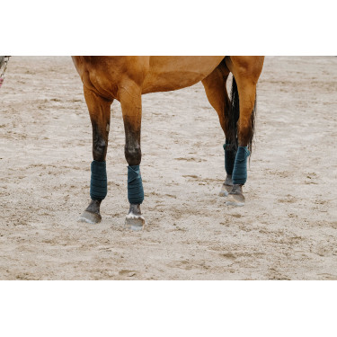 Ventas de polo EQUITHÈME Verde oscuro