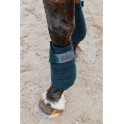 Ventas de polo EQUITHÈME Verde oscuro