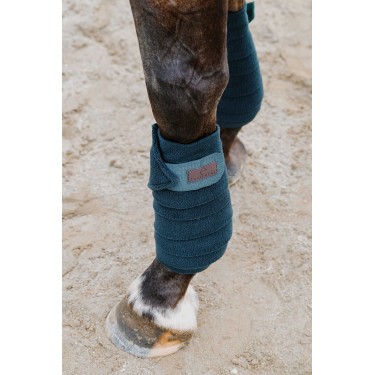 Ventas de polo EQUITHÈME Verde oscuro