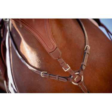 Flecha de martingala Pénélope Bip Lisa Elástica Avellana Marrón Flecha de martingala Pénélope Bip Lisa Elástica Avellana Marrón