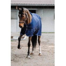 Camisa Equithème Classic 3D mesh Azul marino