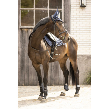 Vliegennetje Lami-Cell Galaxy Azul marino