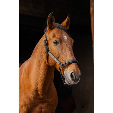 Cabezada de nailon Equithème Domino Cobre Marr&amp;amp;amp;oacute;n
